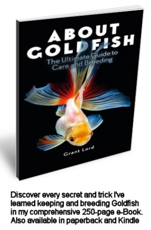 goldfish website