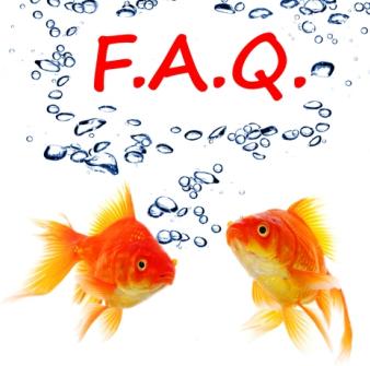 FAQs